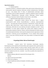 Klastinga liga - išsėtinė sklerozė 13 puslapis