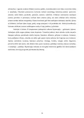 Klastinga liga - išsėtinė sklerozė 16 puslapis