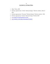 Italija: Sicilija 14 puslapis