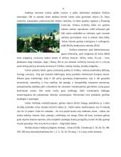 Italija: Sicilija 6 puslapis