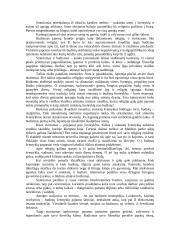 Japonijos menas 4 puslapis