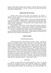 Japonijos menas 5 puslapis