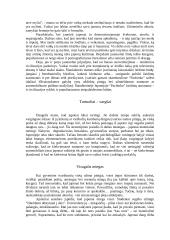 Japonijos menas 6 puslapis