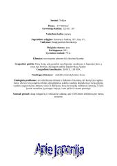 Japonija trumpai 2 puslapis