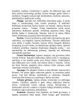 Japonija. Indija 7 puslapis