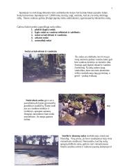 Japonijos sodų architektūra 7 puslapis