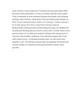 Francas Jozefas Haidnas (1732 – 1809 m.) 12 puslapis