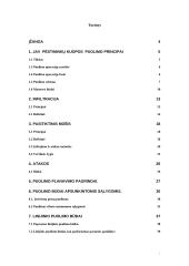 Jungtinių Amerikos Valstijų (JAV) mechanizuota pėstininkų kuopa puolime 2 puslapis