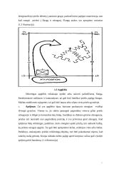 Jungtinių Amerikos Valstijų (JAV) mechanizuota pėstininkų kuopa puolime 11 puslapis