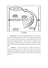 Jungtinių Amerikos Valstijų (JAV) mechanizuota pėstininkų kuopa puolime 12 puslapis