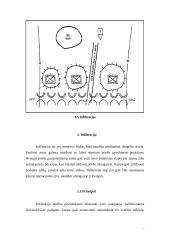 Jungtinių Amerikos Valstijų (JAV) mechanizuota pėstininkų kuopa puolime 13 puslapis
