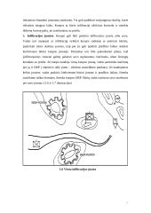 Jungtinių Amerikos Valstijų (JAV) mechanizuota pėstininkų kuopa puolime 15 puslapis