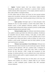 Jungtinių Amerikos Valstijų (JAV) mechanizuota pėstininkų kuopa puolime 17 puslapis