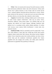 Jungtinių Amerikos Valstijų (JAV) mechanizuota pėstininkų kuopa puolime 19 puslapis