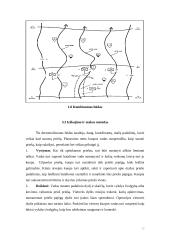 Jungtinių Amerikos Valstijų (JAV) mechanizuota pėstininkų kuopa puolime 20 puslapis