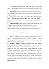 Jungtinių Amerikos Valstijų (JAV) mechanizuota pėstininkų kuopa puolime 7 puslapis