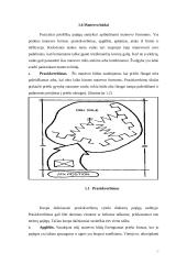 Jungtinių Amerikos Valstijų (JAV) mechanizuota pėstininkų kuopa puolime 10 puslapis