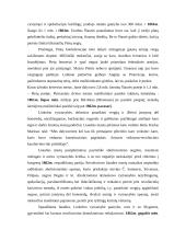 Jungtinių Amerikos Valstijų (JAV) pilietinis karas 3 puslapis