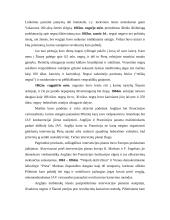 Jungtinių Amerikos Valstijų (JAV) pilietinis karas 4 puslapis