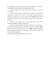 Jungtinių Amerikos Valstijų (JAV) pilietinis karas 6 puslapis