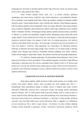 Jurgaičių piliakalnis 4 puslapis