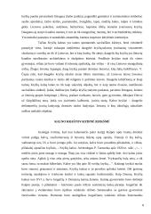 Jurgaičių piliakalnis 8 puslapis