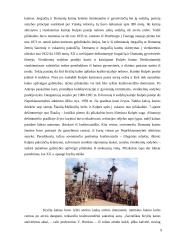 Jurgaičių piliakalnis 9 puslapis