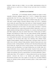 Jurgaičių piliakalnis 10 puslapis