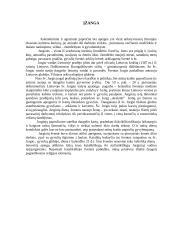 Jurginių šventė 2 puslapis