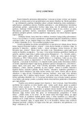 Jurginių šventė 3 puslapis