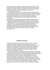 Kalėdų tradicijos Lietuvoje 5 puslapis