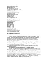 Kalvotoji Žemaitija 6 puslapis