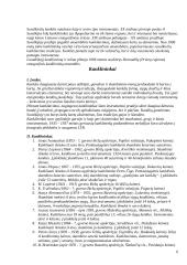 Kanklės, kanklininkai ir jų repertuaras 6 puslapis