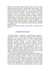 Karstiniai reiškiniai 2 puslapis