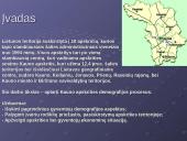 Kauno apskrities demografinė analizė