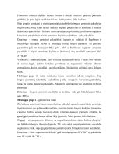 Keramikos tyrimai Domerschulstrasse Viurzburge 11 puslapis