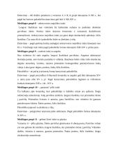 Keramikos tyrimai Domerschulstrasse Viurzburge 13 puslapis