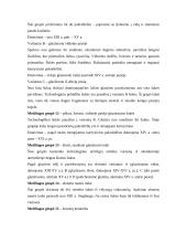 Keramikos tyrimai Domerschulstrasse Viurzburge 14 puslapis