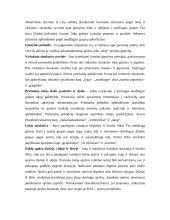 Keramikos tyrimai Domerschulstrasse Viurzburge 3 puslapis