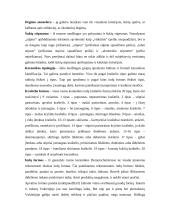 Keramikos tyrimai Domerschulstrasse Viurzburge 4 puslapis