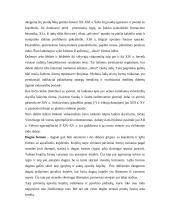 Keramikos tyrimai Domerschulstrasse Viurzburge 5 puslapis