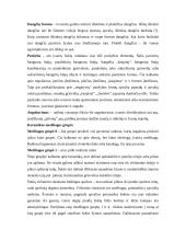 Keramikos tyrimai Domerschulstrasse Viurzburge 6 puslapis