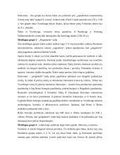 Keramikos tyrimai Domerschulstrasse Viurzburge 8 puslapis