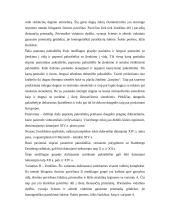 Keramikos tyrimai Domerschulstrasse Viurzburge 9 puslapis