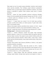 Keramikos tyrimai Domerschulstrasse Viurzburge 10 puslapis