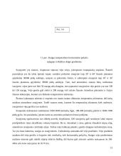 Klimatas, faktoriai nulemiantys klimatą 13 puslapis