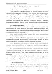 Kompiuterių virusai bei antivirusinės programos 2 puslapis