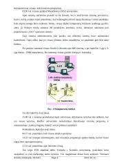 Kompiuterių virusai bei antivirusinės programos 4 puslapis