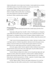 Kraštovaizdžio kompozicinis vertinimas užstatymo aspektu 8 puslapis