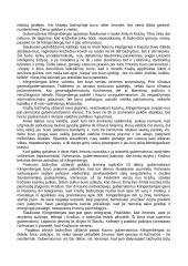 Kražių skerdynės 2 puslapis